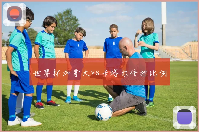 世界杯加拿大vs卡塔尔传控比例