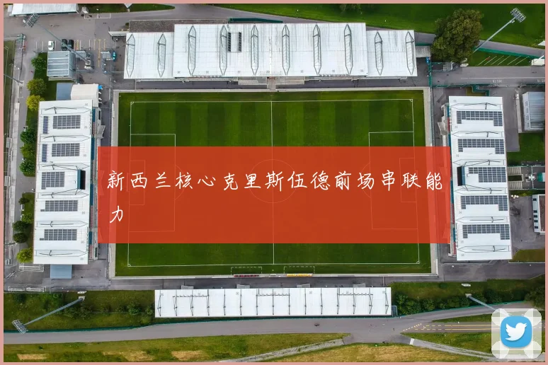 新西兰核心克里斯伍德前场串联能力