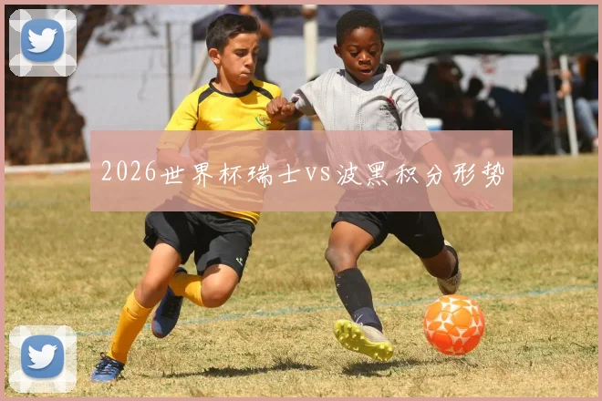2026世界杯瑞士vs波黑积分形势