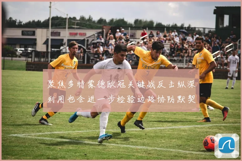 聚焦多特蒙德欧冠关键战反击纵深利用也会进一步检验边路协防默契