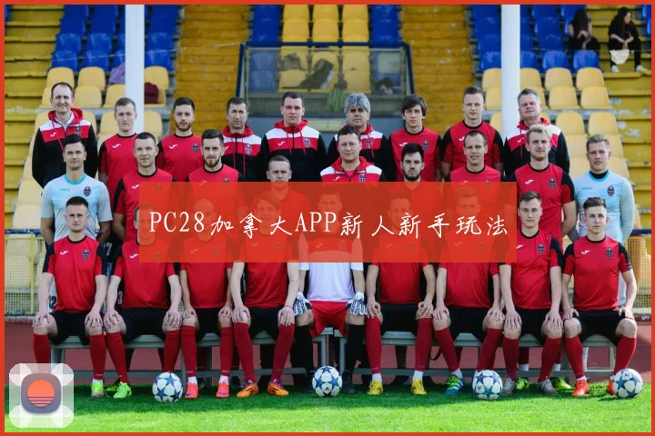 PC28加拿大APP新人新手玩法