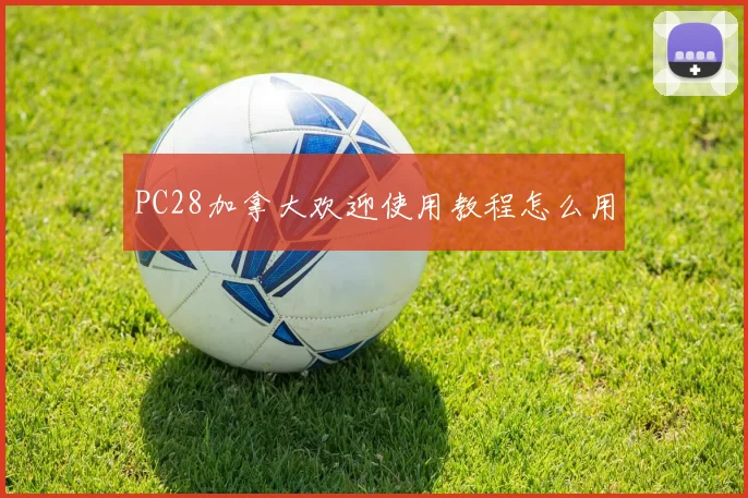 PC28加拿大欢迎使用教程怎么用