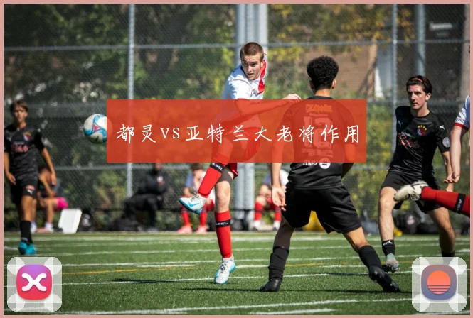 都灵vs亚特兰大老将作用