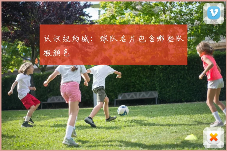 认识纽约城：球队名片包含哪些队徽颜色