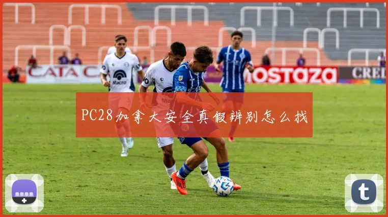 PC28加拿大安全真假辨别怎么找